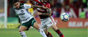 Palmeiras e Flamengo - Andre Melo-Andrade / Shutterstock.com